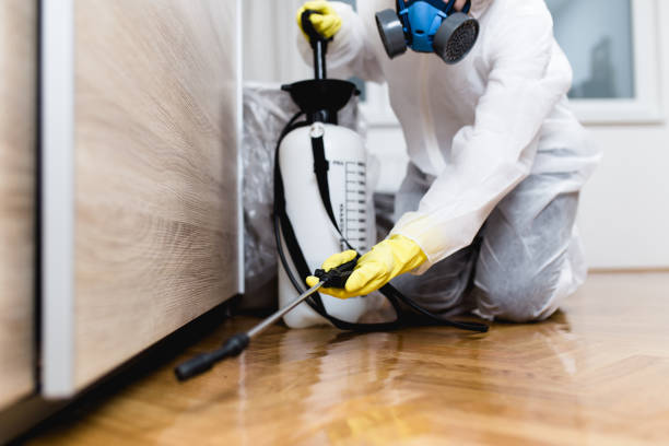 Best Emergency Pest Control  in Lodi, OH