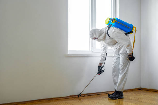 Best Mosquito Control Services  in Lodi, OH